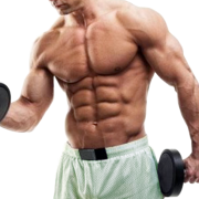 Hypertrophy Muscle Mass Weight Training