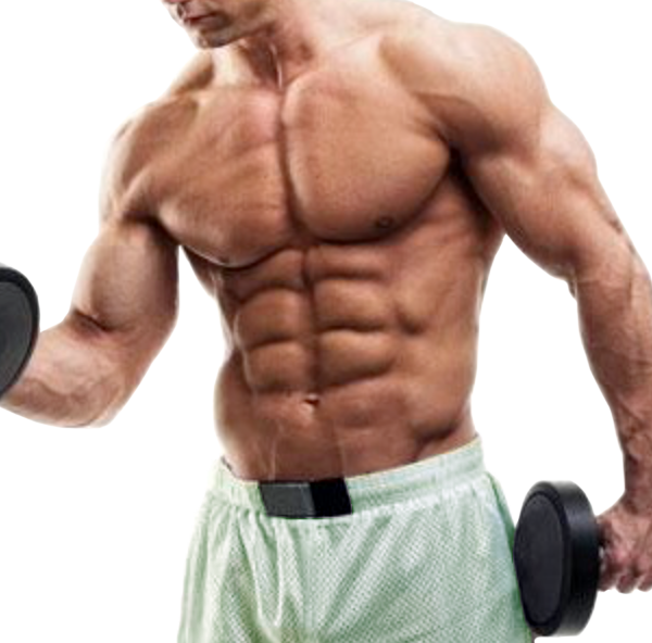 Hypertrophy Muscle Mass Weight Training